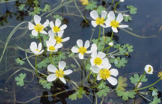 延庆将生态文明建设写在绿水青山间(图8)