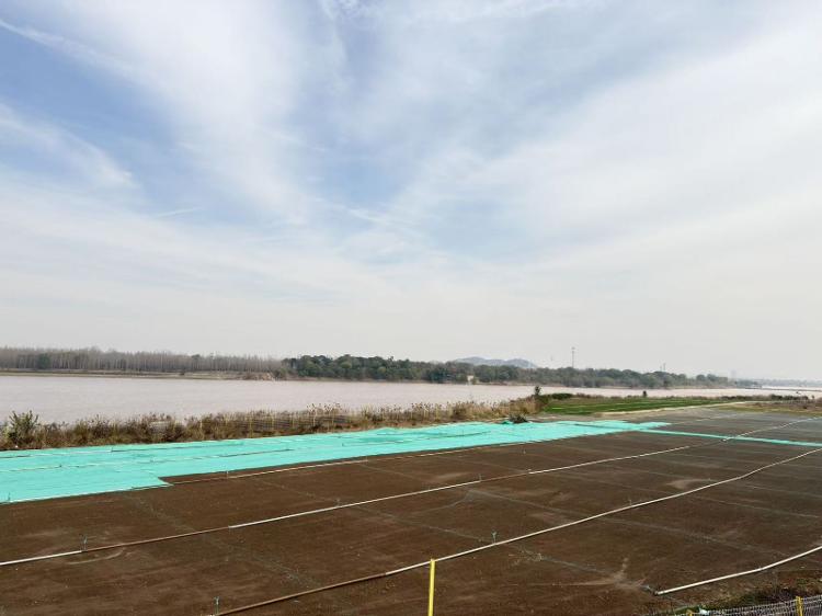 九游体育网站：2025泉城环保世纪行｜聚焦黄河生态济南万余亩岸线焕新筑牢屏障更惠民生_泉城新闻_大众网(图1)