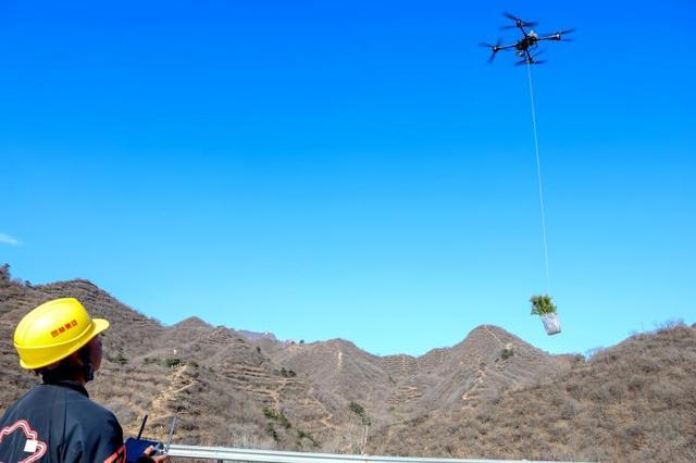 北京“三北”工程六期开局告捷54万亩生态工程完工(图1)