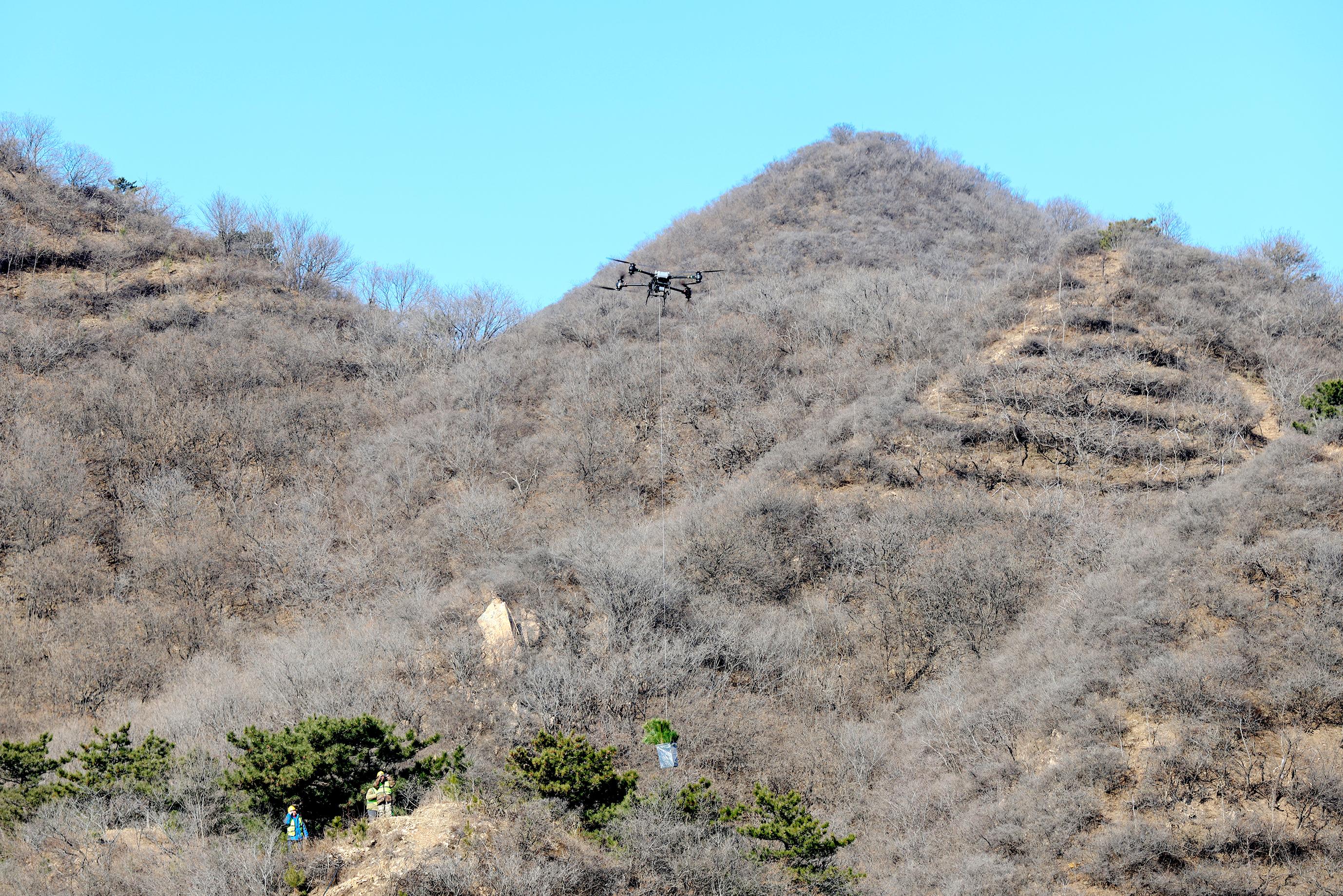 九游体育：北京“三北”工程六期开局告捷燕山山地南部增绿54万余亩(图1)