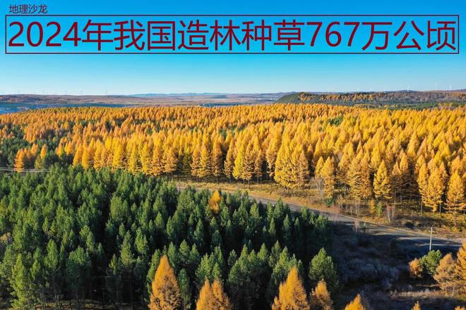 2024年我国造林种草767万公顷“三北防护林”工程是主要贡献者(图1)