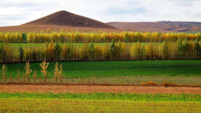 2024年我国造林种草767万公顷“三北防护林”工程是主要贡献者(图4)