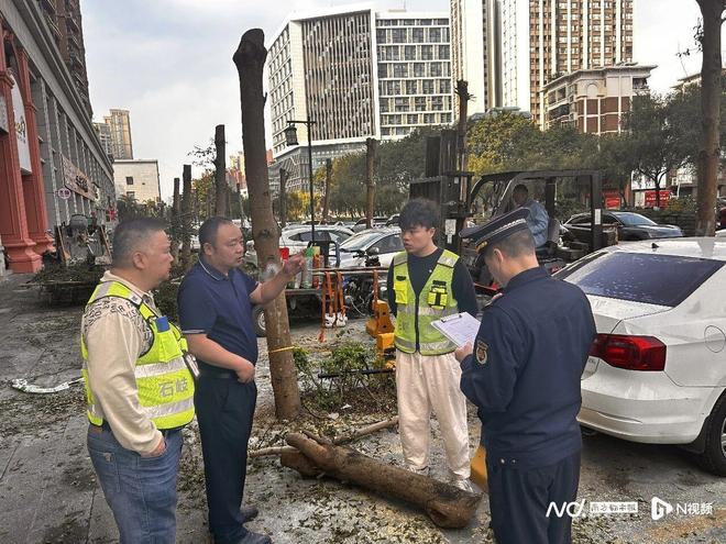 九游体育：中山一小区树木修剪追踪：过度修剪树木涉事企业被立案调查(图1)