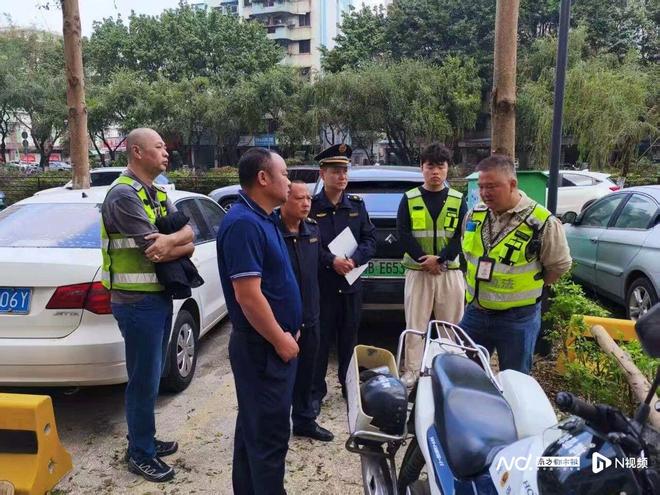 九游体育：中山一小区树木修剪追踪：过度修剪树木涉事企业被立案调查(图2)