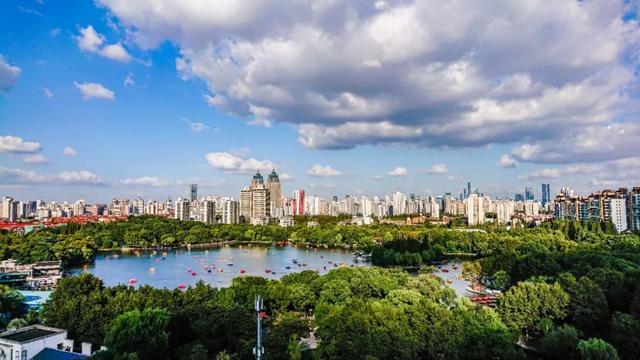 普陀五年生态“焕新记”“三张答卷”绘就生态新图景(图1)