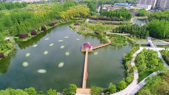 普陀五年生态“焕新记”“三张答卷”绘就生态新图景(图2)
