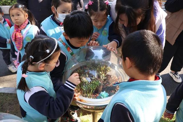 普陀五年生态“焕新记”“三张答卷”绘就生态新图景(图4)