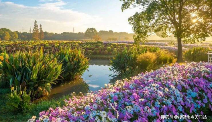 九游体育网站：国印东方-小区环境-户型-价格-地址-楼盘详情-周边配套-国印东方售楼处电话-交房时间(图23)