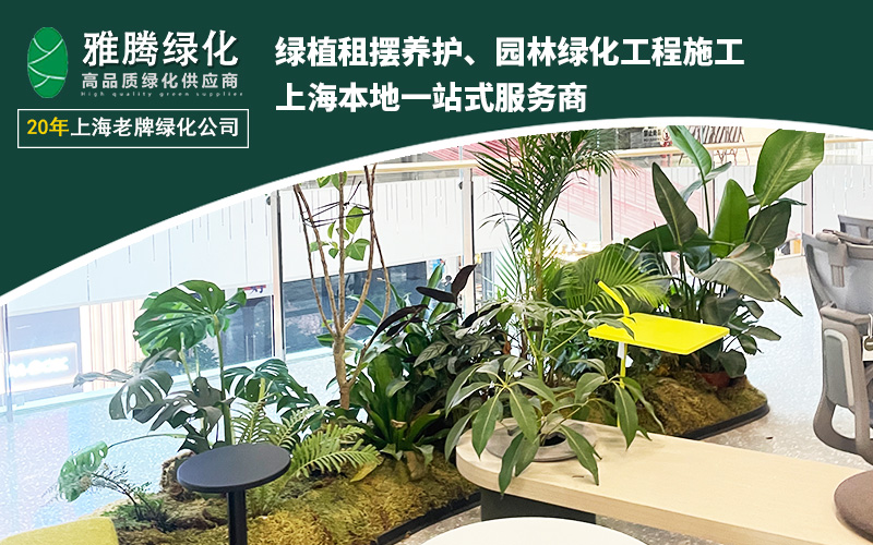 2026年1月雅腾绿化服务用户体验深度解析(图2)