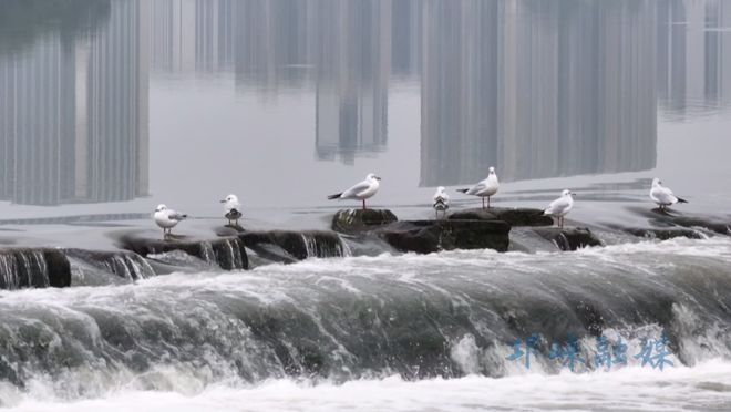 九游体育网站：实干的邛崃—我们身边的“十四五”丨绿水青山映古城公园城市绽新颜(图1)