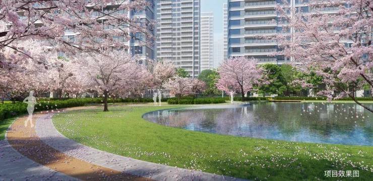 2024最新!高铁新城和风雅信和风雅信日系精工豪宅户型交通配套价格全解析(图6)