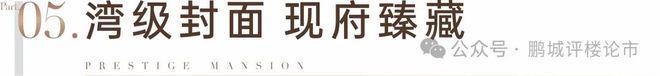 九游体育网站：⚡热搜｜中铁阅臻府售楼处发布：以品质铸就尊邸奢境！(图18)