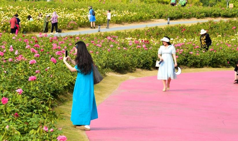 九游体育网站：合肥瑶海：书写高质量发展的时代答卷(图1)