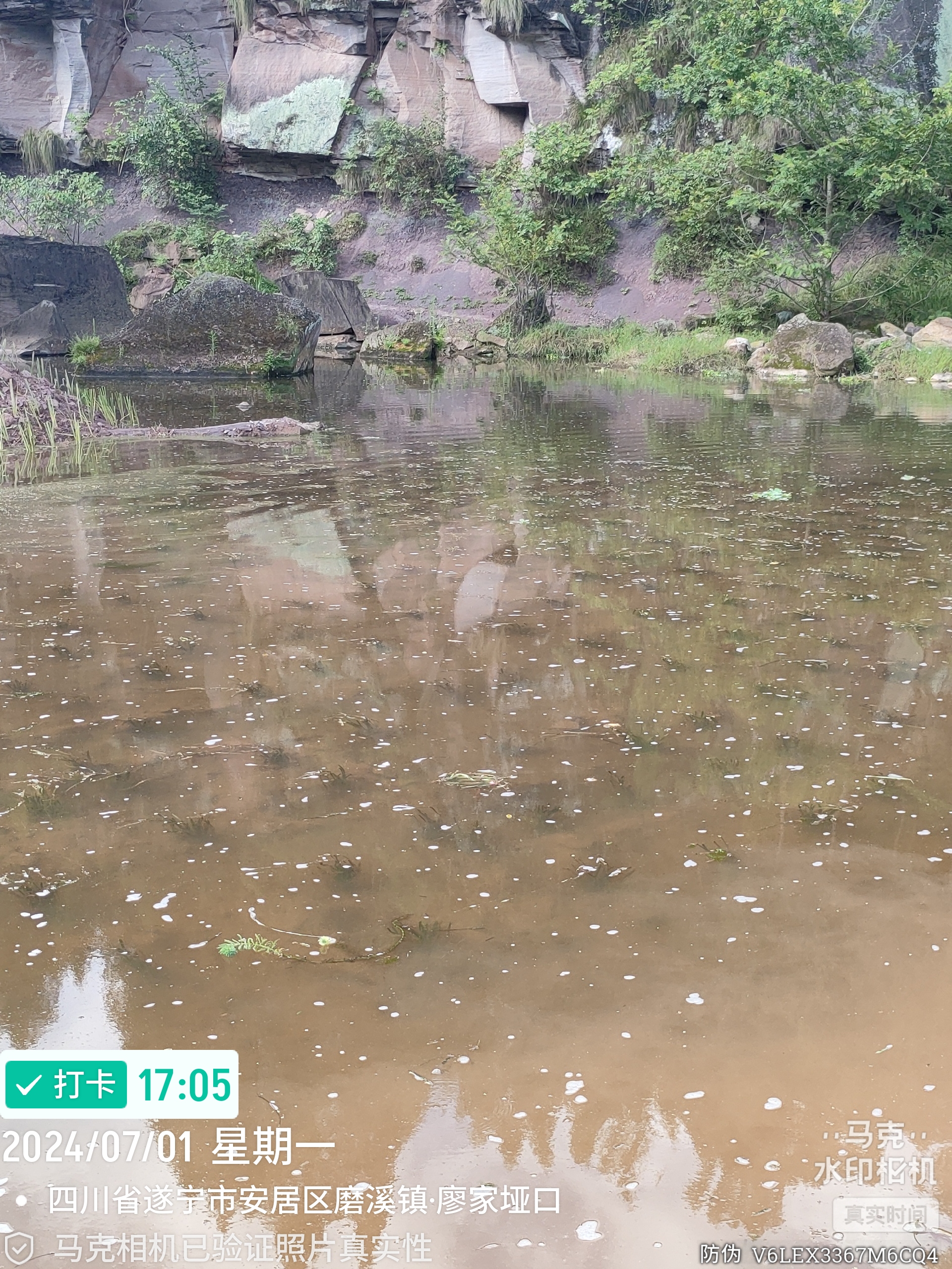 2026年湿地绿化优质服务商测评：五大实力厂家深度解析与选型指南(图1)