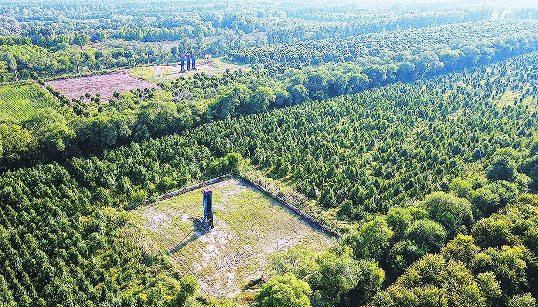 守护锦绣河山坚定逐绿前行(图1)